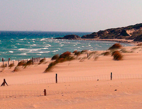 15 playas imprescindibles de la provincia de Cádiz