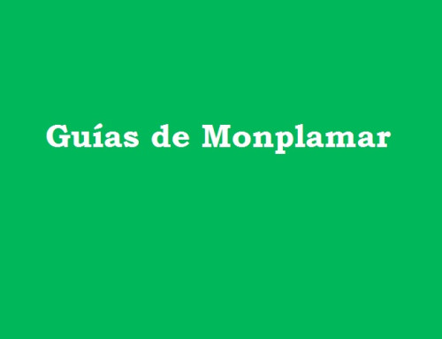 Todas las Guías y Especiales de Monplamar
