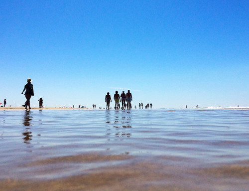 En la costa de Cádiz hay playas para todos los gustos