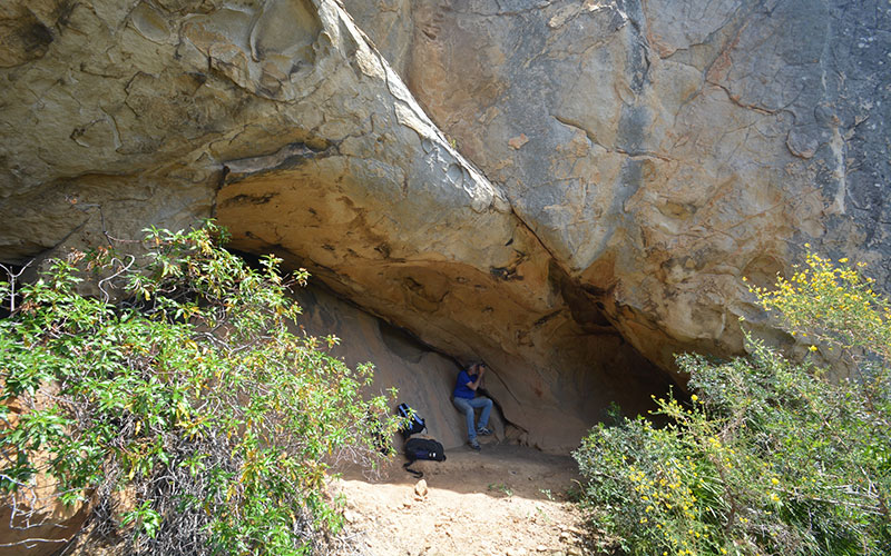 Las Manos Paleolíticas de la Cueva de Las Palomas IV