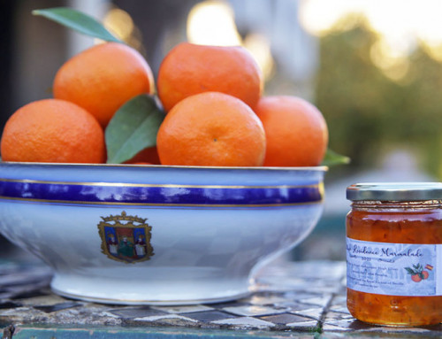 Naranjas amargas de Sevilla para el rey Carlos III