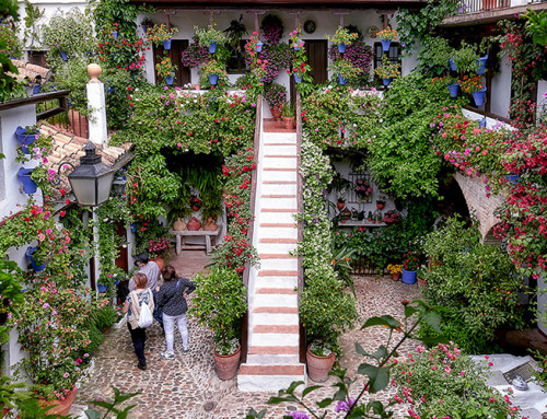 11 días para visitar los floreados Patios de Córdoba