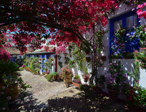 Patio con flores de Córdoba (andalucia.org)
