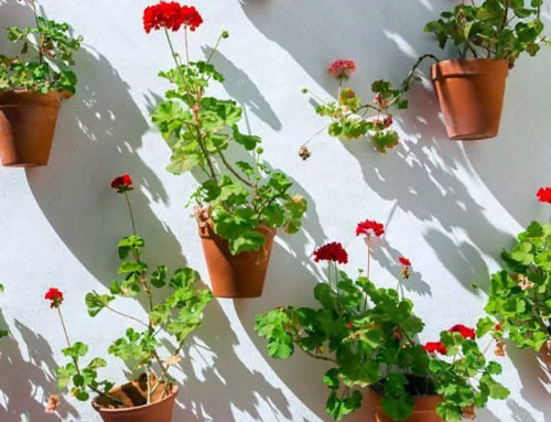 El Sur ya huele a verano (andalucia.org)