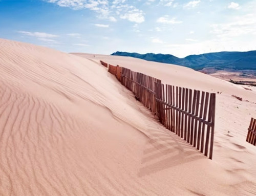 Recomendaciones para proteger las dunas costeras