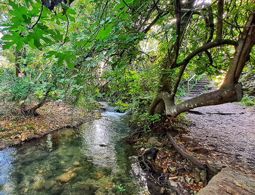 Río Majaceite en la provincia de Cádiz (Junta)