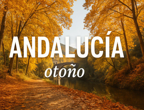 Para conocer mejor el otoño de Andalucía