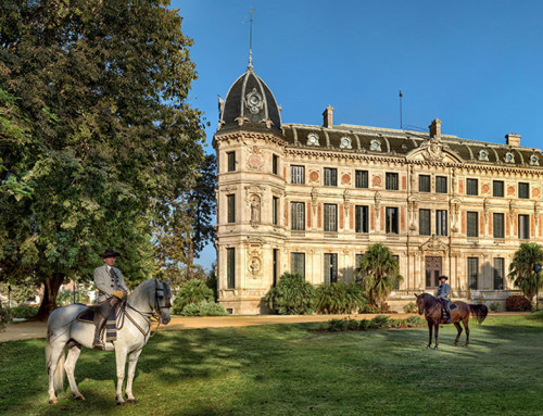 Caballos con arte en Jerez, Cádiz (Junta)