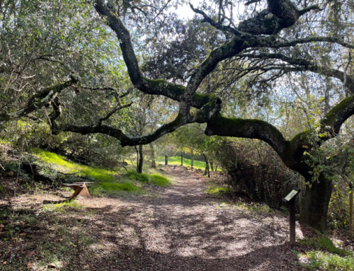 3 senderos cordobeses con nombres peculiares