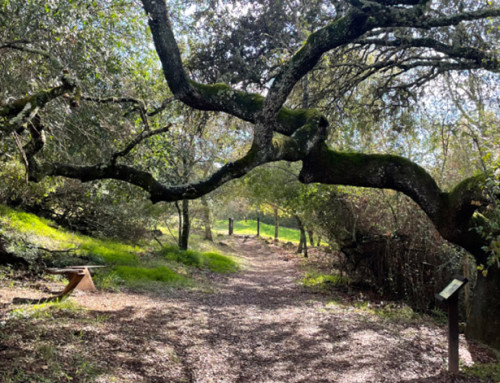 3 senderos cordobeses con nombres peculiares
