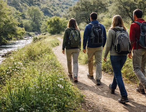 5 senderos suaves para el cambio de temporada