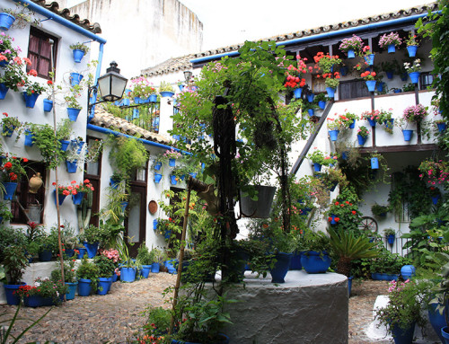 Floreado patio de Córdoba (andalucia.org)