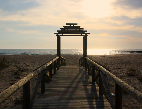 Playa de Vejer de la Frontera, Cádiz (andalucia.org)